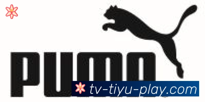 PP体育直播合作伙伴